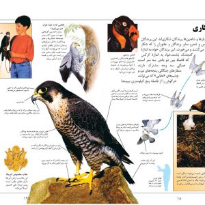 دانشنامه بزرگ کودک و نوجوان (پرندگان و پستانداران) - انتشارات پیام بهاران
