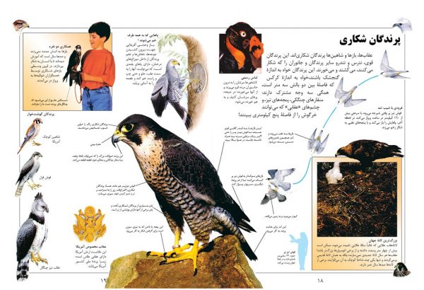 دانشنامه بزرگ کودک و نوجوان (پرندگان و پستانداران) - انتشارات پیام بهاران