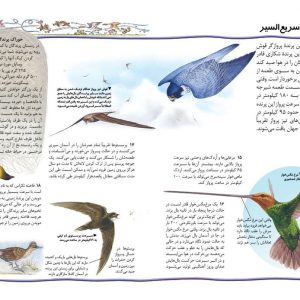 یکصد نکته (پرندگان) - انتشارات پیام بهاران