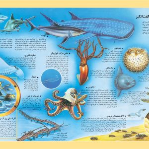 اطلس مصور کودکان، دریاها و اقیانوسهای جهان - انتشارات پیام بهاران